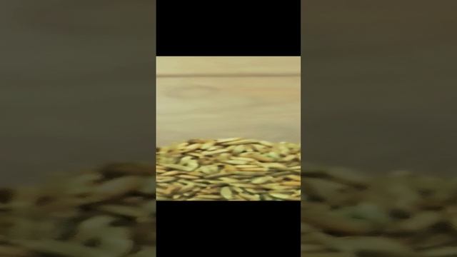 Рожь пророщенная