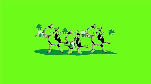 Футаж на хромакее Баварская Пивная Песня смотреть онлайн