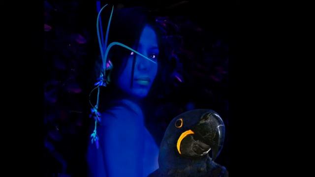 India Azul - Francielle Henrard смотреть онлайн