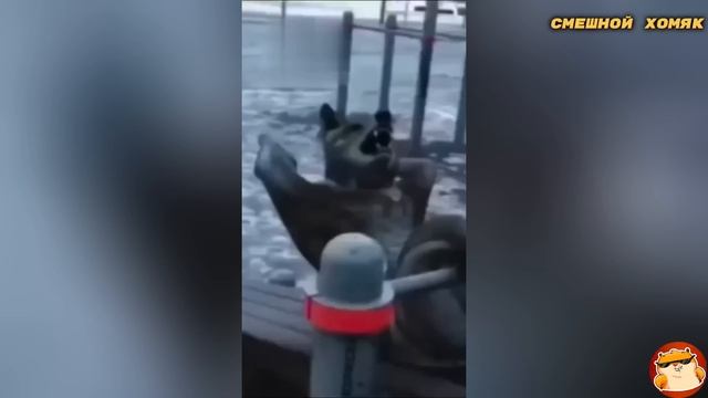 Я РЖАЛ ДО СЛЕЗ 😂 21 Минута ОТБОРНЫХ Русских приколов 2024 Смешные видео - ЛУЧШИЕ ПРИКОЛЫ! 😂 смотреть онлайн