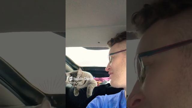 Путешествие начинается 😁 #shorts смотреть онлайн