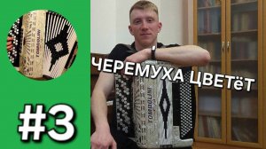 Бонус трек 3. Черёмуха цветёт // Инна Каменева