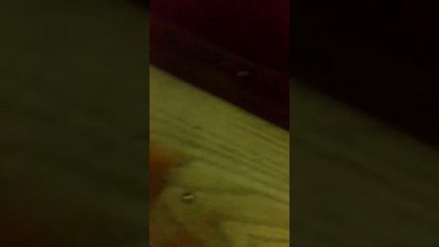 Пистолет 🔫 042 травмат смотреть онлайн