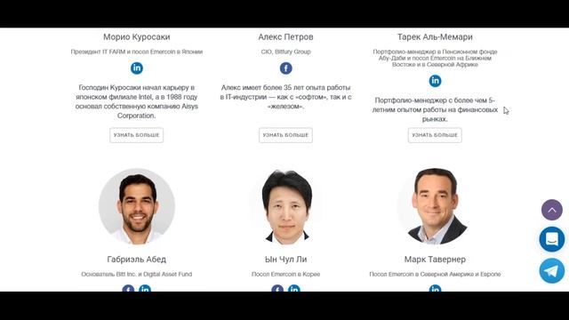Emercoin - команда и выводы о проекте (обзор ч.3) смотреть онлайн