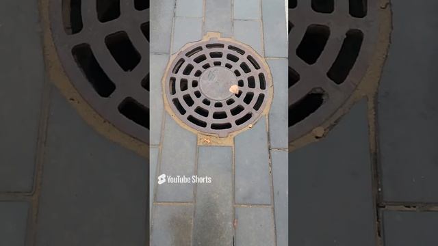 Солнышко для диггера. смотреть онлайн