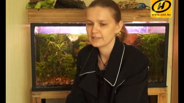 Испанский мастиф: советы заводчиков для начинающих, видео смотреть онлайн