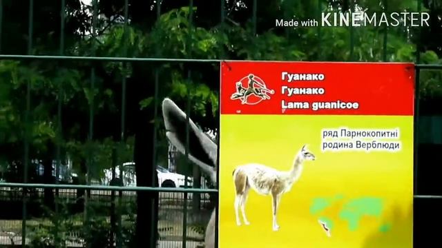 Маленькое путешествие # 4 смотреть онлайн