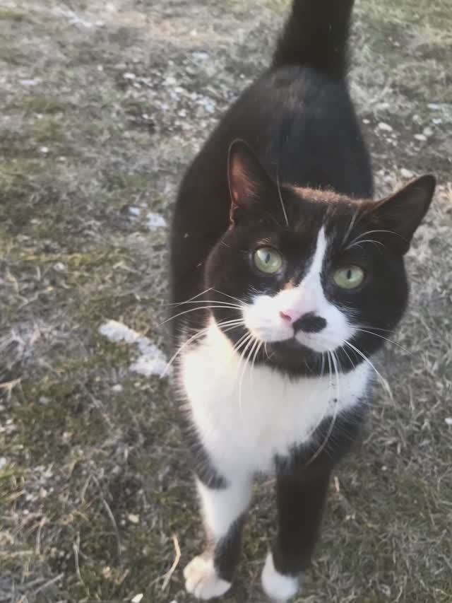 27 янв. 2024 г. Manuri1 смотреть онлайн