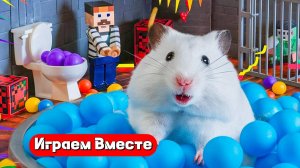 Хомяк выбирается из ТЮРЕМНОГО ЛАБИРИНТА 🐹 Видео для детей