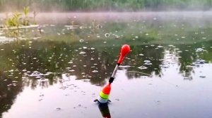 БЕШЕНЫЙ КЛЁВ КАРАСЯ на поплавочную удочку