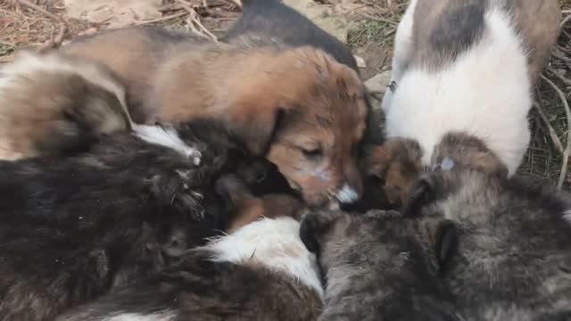 Это и есть жизнь смотреть онлайн