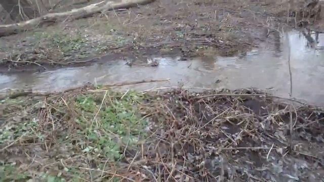 охота с пневматикой мр512,прилетело много утки смотреть онлайн