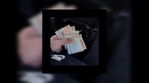 •21+ VnasaKar - Ani •21+