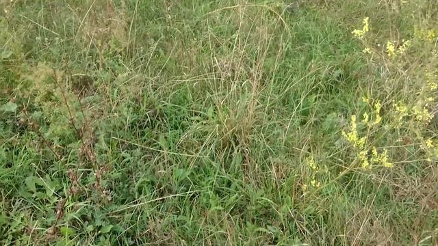 Как выжить в кризис смотреть онлайн