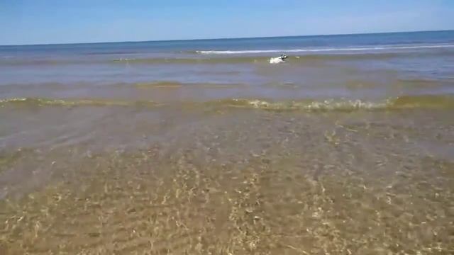 Бег по воде смотреть онлайн