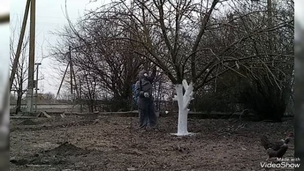 Весенняя обработка сада | Ростовская область