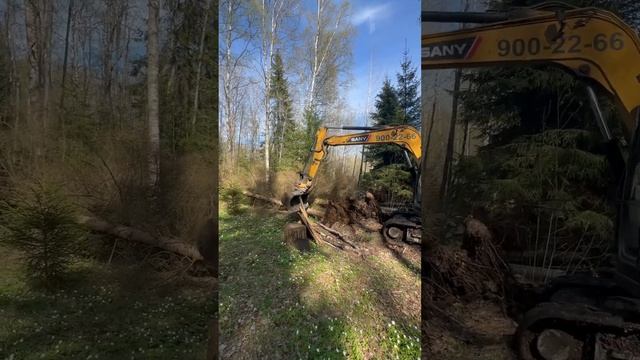 Выкорчевка деревьев в СПБ и Лен. обл.