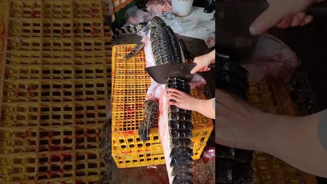 мясо кракодила смотреть онлайн