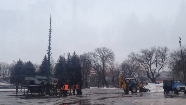 На площади Павлограда монтируют ёлку смотреть онлайн