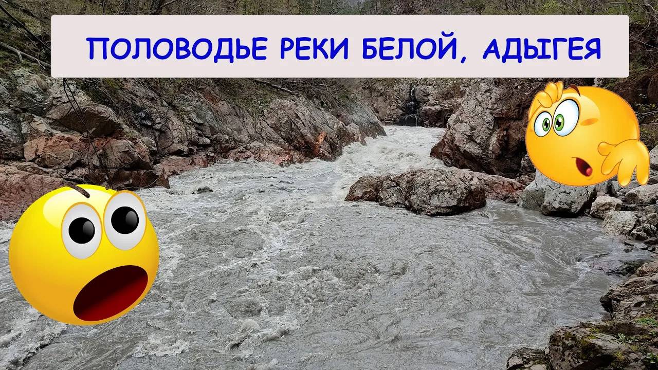 Половодье реки Белой, Адыгея