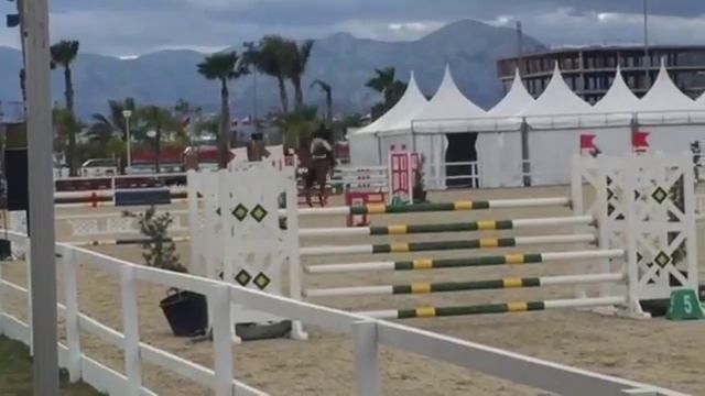 Donna Doria Z 6y 1m30 Oliva MET2 W1 day 3 смотреть онлайн