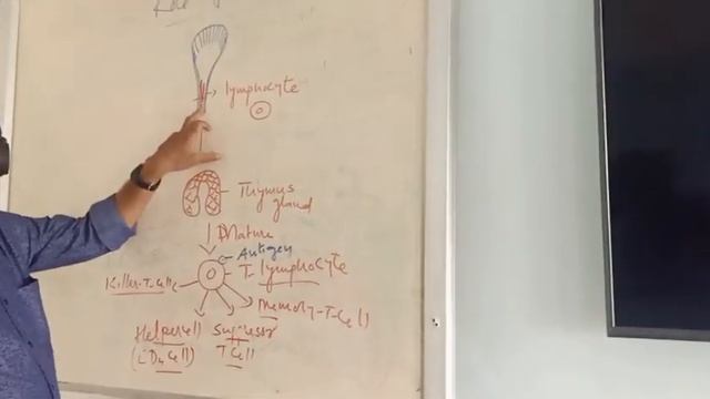 MANDAVYA EXCELLENCE PU COLLEGE смотреть онлайн
