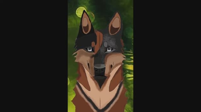 Самые преданные биологические существа на земле смотреть онлайн