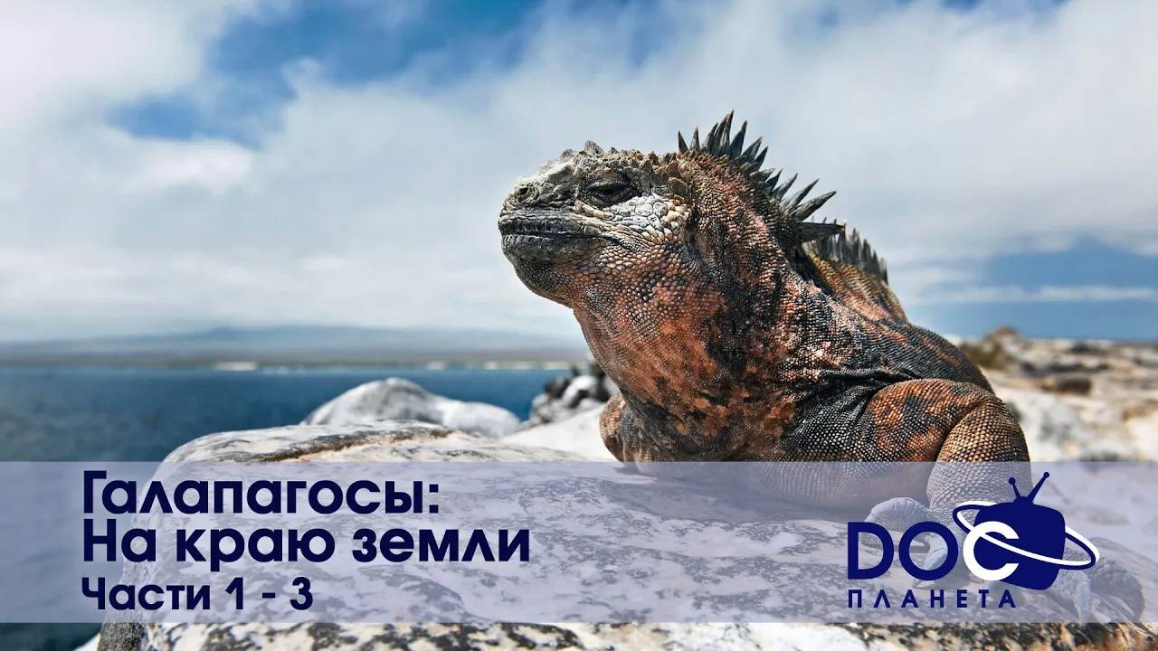 Галапагосы: На краю земли - Все части - Документальный фильм смотреть онлайн