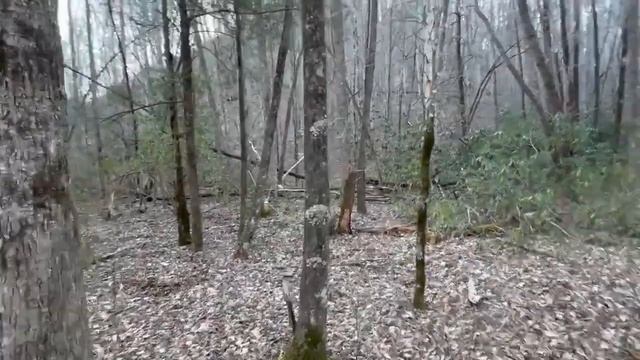 North Carolina Sasquatch Exploration - Great Smoky Mountains National Park смотреть онлайн
