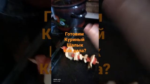 куриный шашлык смотреть онлайн