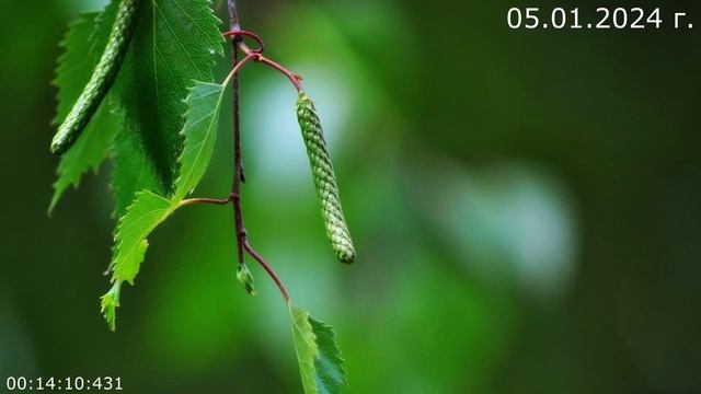 853 С кем идёт общение 05.01.2024 г смотреть онлайн