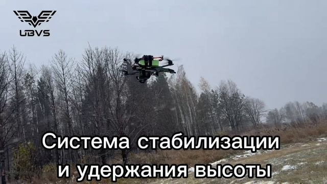 Журавли прилетели смотреть онлайн