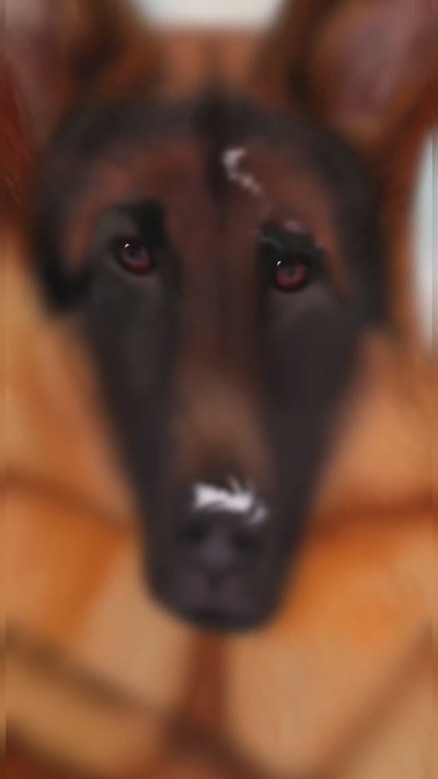 До и после #манури1 смотреть онлайн