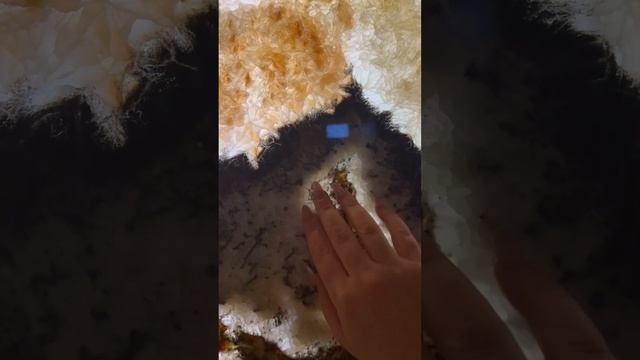 АСМР в ТУАЛЕТЕ смотреть онлайн