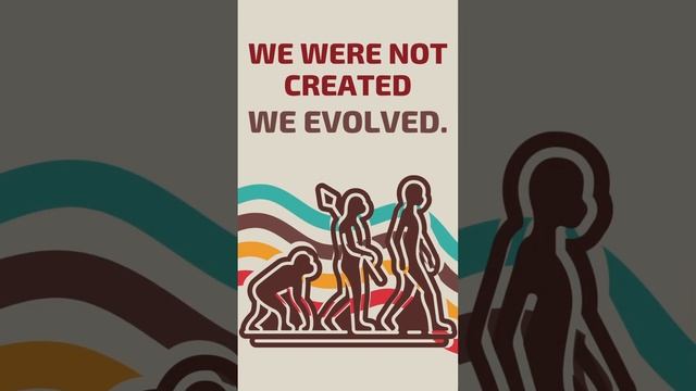 Evidence For Evolution: Vestigial Structures смотреть онлайн