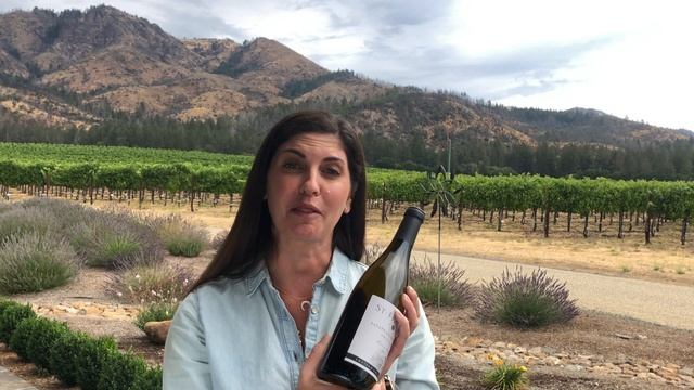 2020 Estate Cuvee Blanc, Wild Oak Vineyard, Sonoma Valley смотреть онлайн