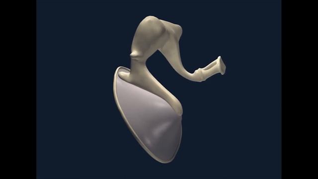 Sound Treatment For Earache  Healing Frequencies