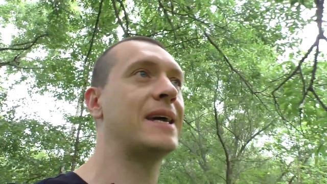 Объясняю почему ГОЛОДАНИЕ это НЕ ВЫХОД для снижения ЖИРОВОЙ прослойки смотреть онлайн