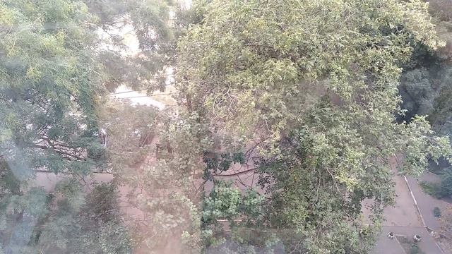 ЗАПОРОЖЬЕ ВОДИТЕЛЬ ЛЕОПАРДА И ТАК ДАЛЕЕ 04.09.23 смотреть онлайн