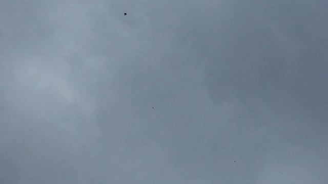 Голуби дырка в небе + командировка смотреть онлайн