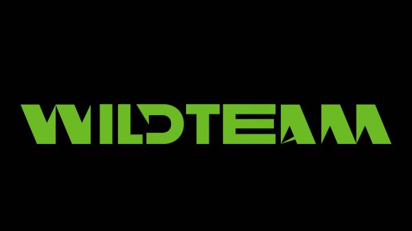 #WildTalks. Дмитрий Куклин, проектный менеджер Beyond Taylor. «Погружение в Клиентократию»