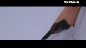 Реклама конфет Королевский Шарм (ТРК Украина, сентябрь 2019)