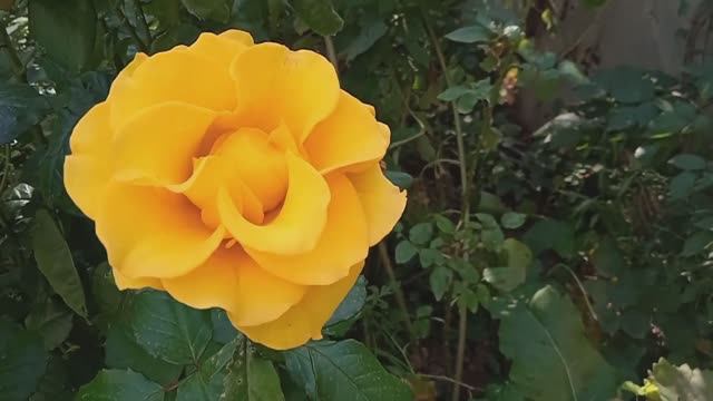 2023.10.6 смотреть онлайн