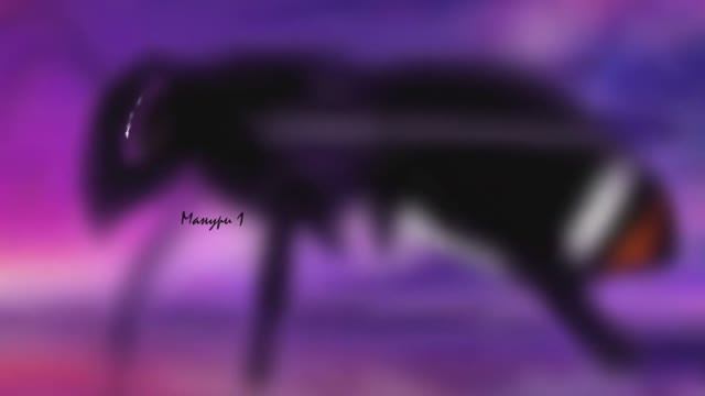 Ахульго о событии 1839 года. смотреть онлайн