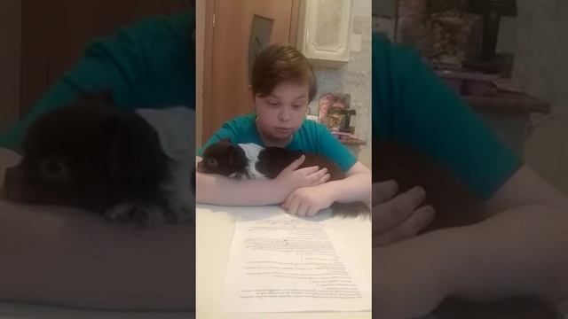 Вопросы наизнанку смотреть онлайн