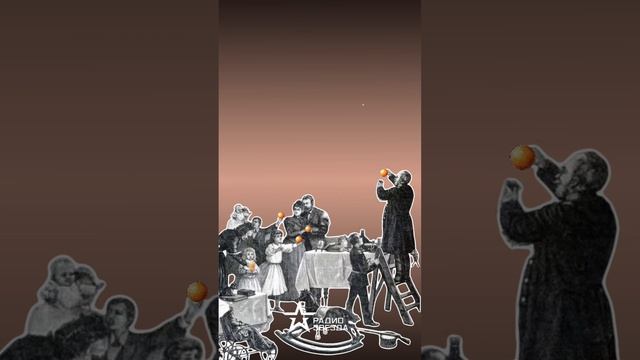 СЛОВАРЬ НОВОГОДНЕГО ГОРОДА: как мандарины появились на нашем столе? смотреть онлайн