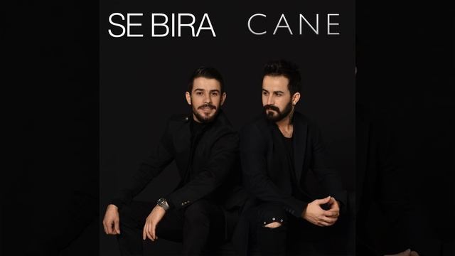 Cane