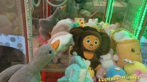 ИГРАЮ НА 2 БОЛЬШИХ МЕДВЕДЯ 🐻 ЛОВЛЮ НОВИНКУ ОТ "MUÑELOCOS" 🥰