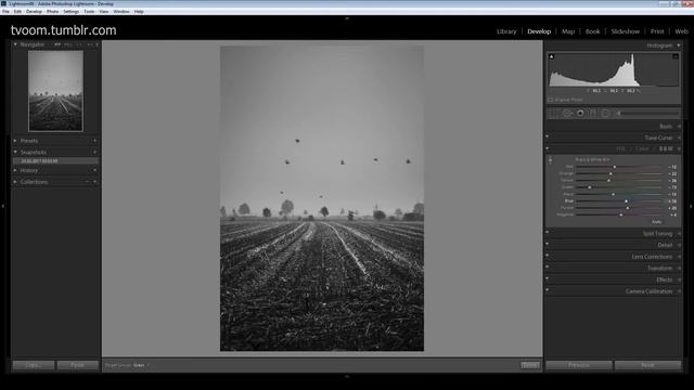 Black & white conversion in Lightroom смотреть онлайн