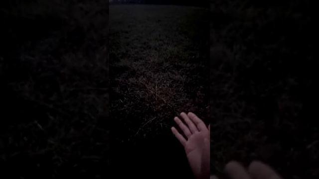 Humus Rich Soil & Biochar смотреть онлайн